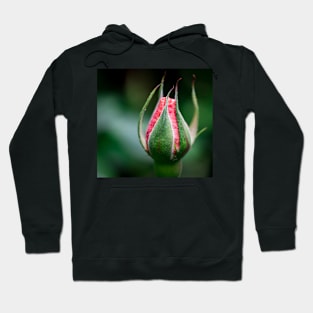 FLOWERS, NATURE’S Fashion Models Hoodie